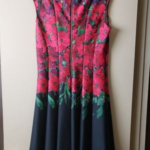 Gabby Skye Black and Red Floral Stretch Dress Size 14